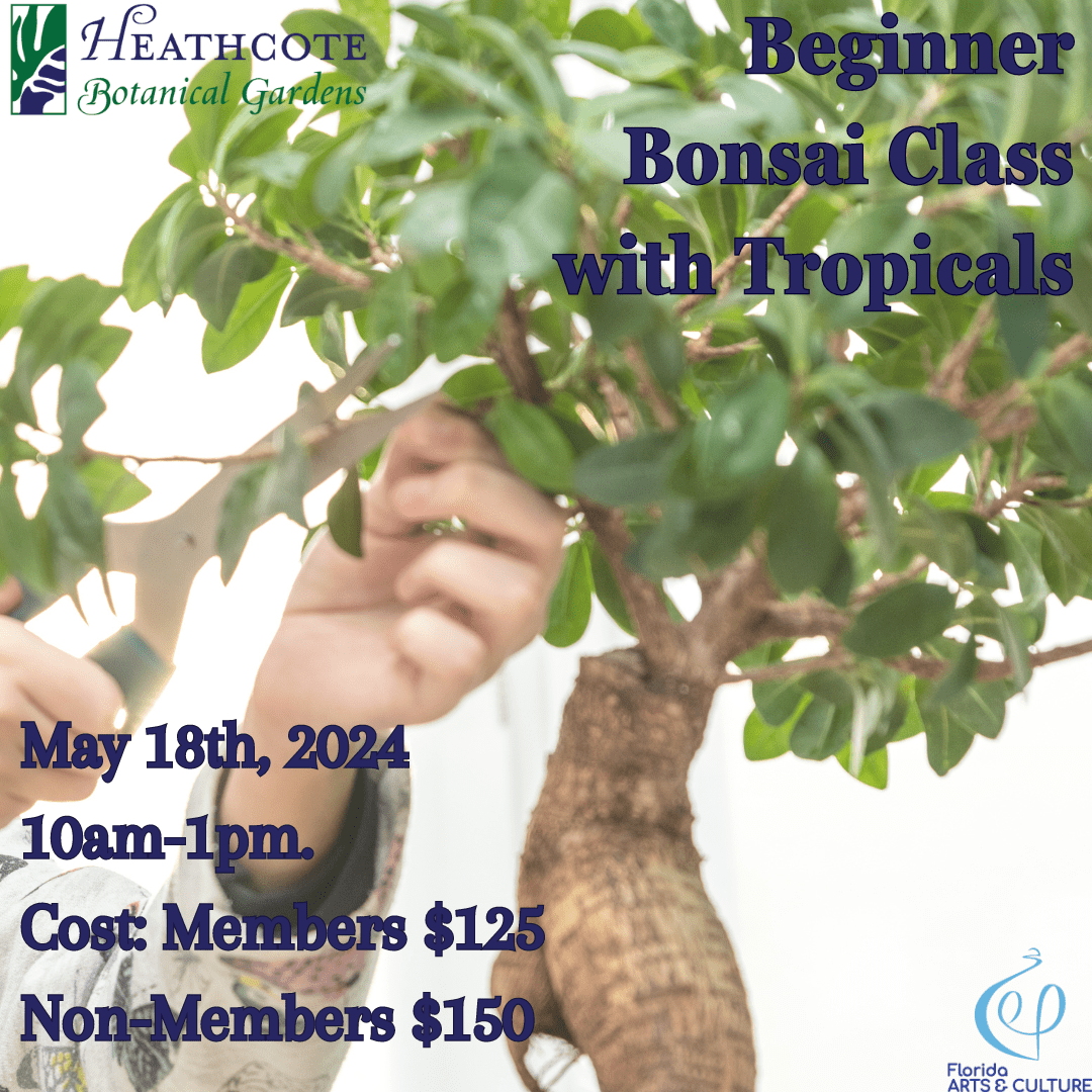 Beginner Bonsai with Tropicals May 18 2024 class